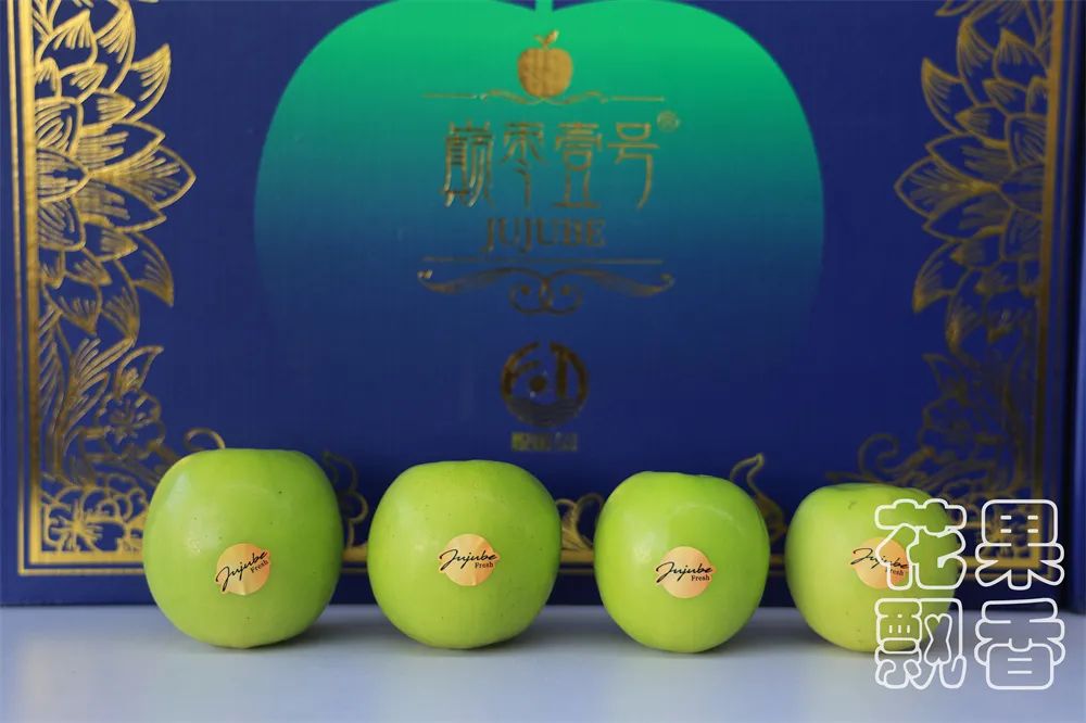 苹果枣，一颗冉冉升起的水果新星