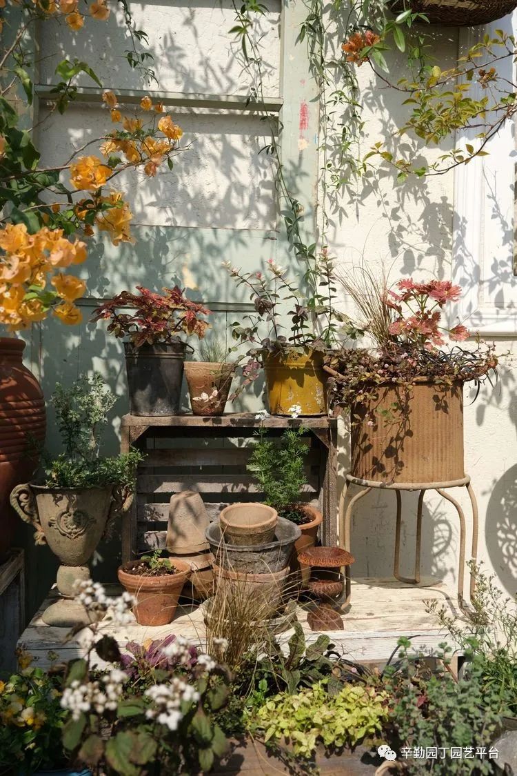 第八届园丁奖露台组《030号》洛基花园