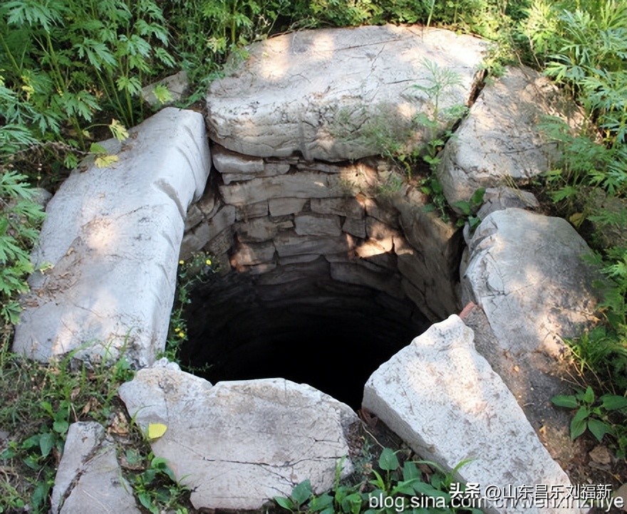 小小说短篇合集,小小说12篇免费