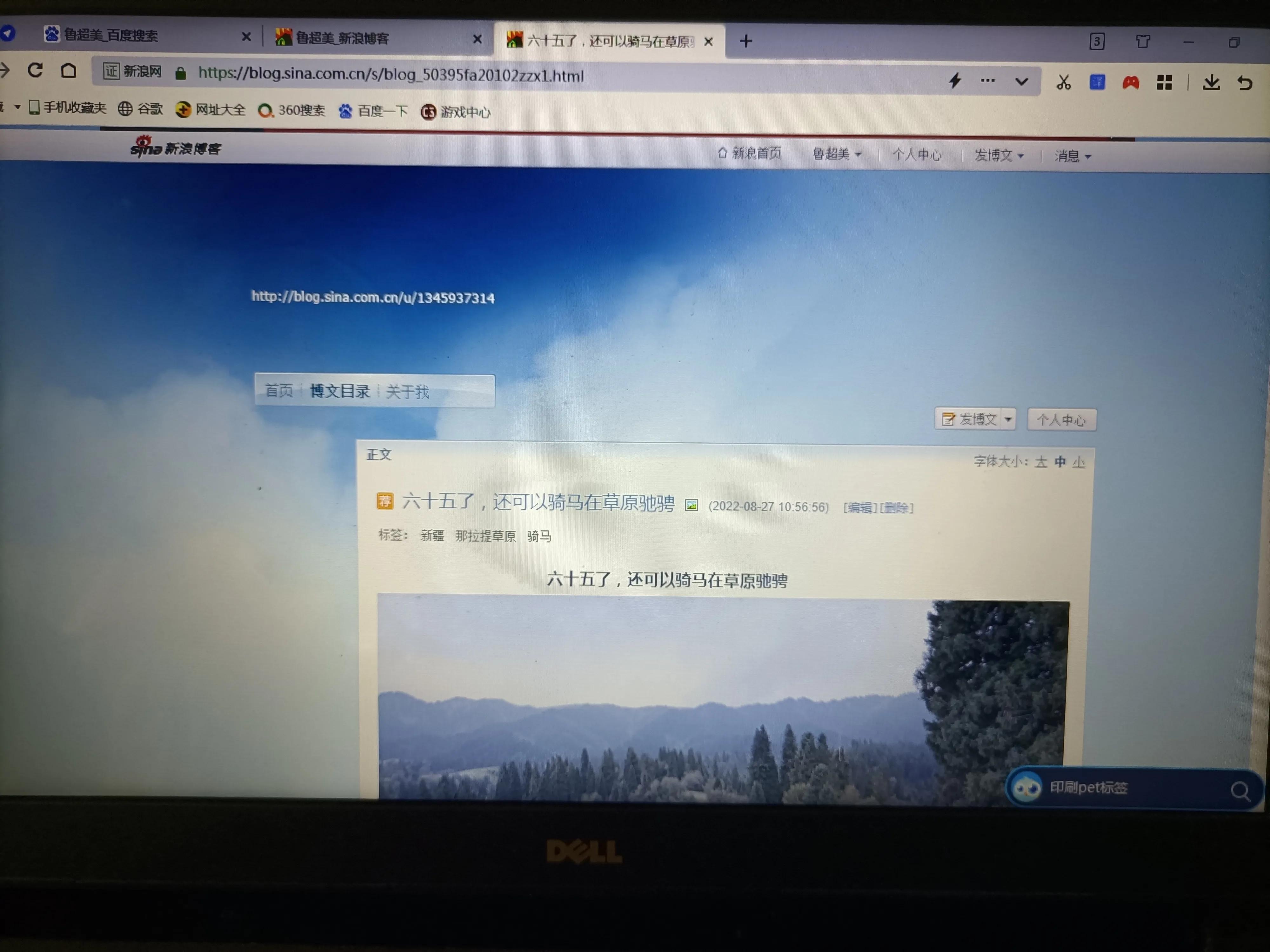 新浪博客怎样,新浪博客新版