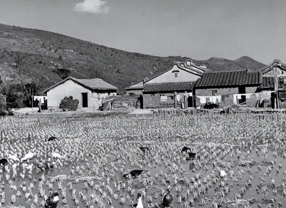 老照片：1950年“*攻反**大陆”口号下的台湾军民风土人情