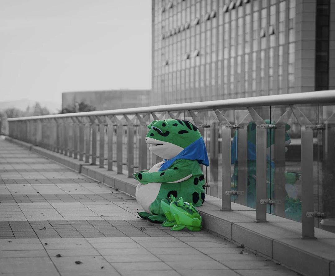 卖网红青蛙崽会被抓吗,网红卖崽青蛙被抓