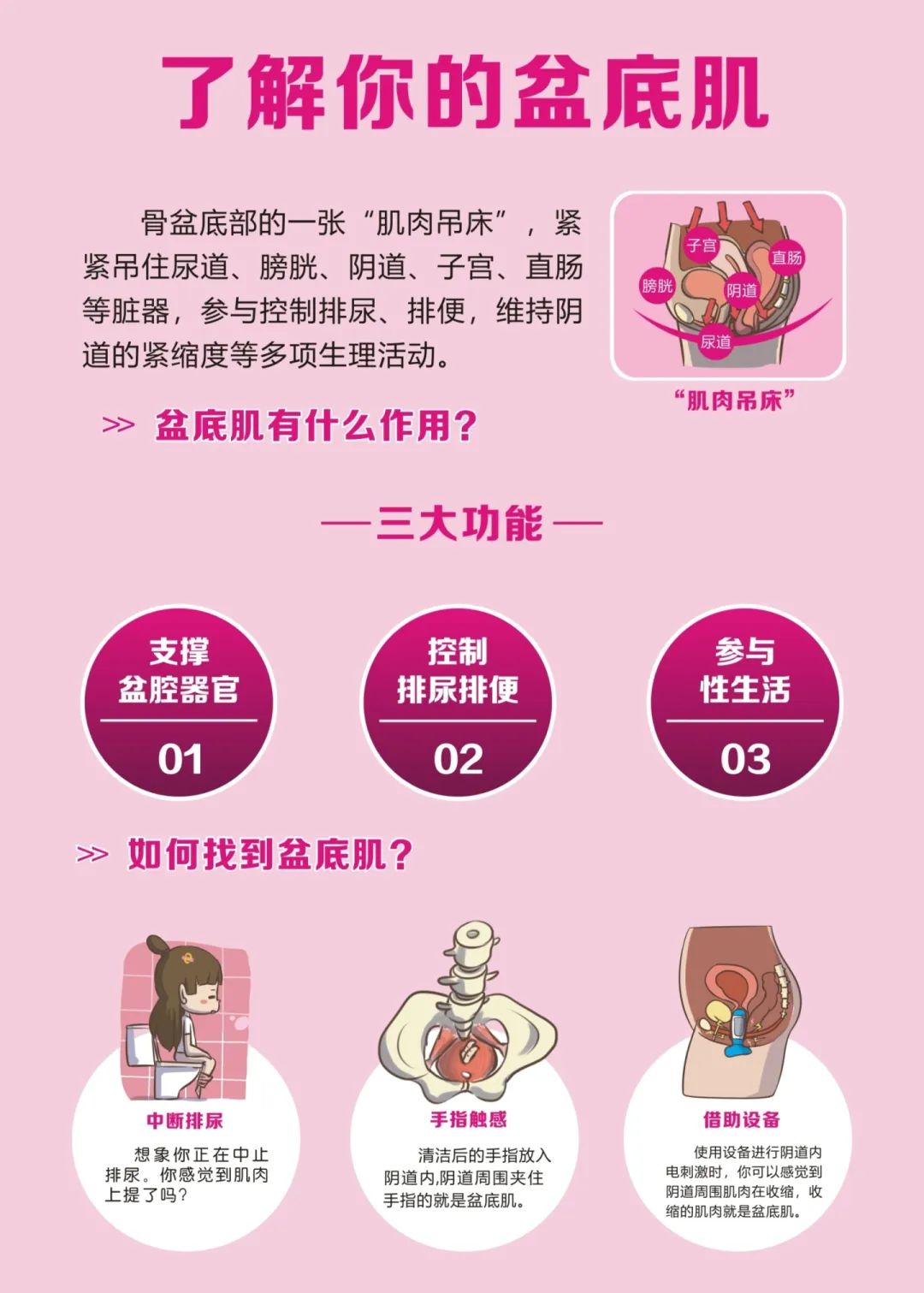 三元区产后恢复优惠团购,医院盆底康复优惠活动