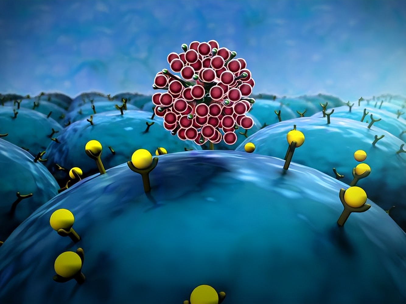 奥密克戎阳好了以后还复发吗,面对奥密克戎为何不能放弃抵抗