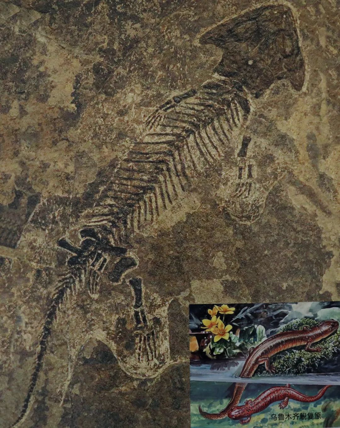 你车里的油和它们有关！探秘石化版“三星堆”宝藏