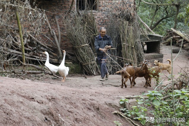 40年前我接替父亲的班成了工人，从此给自己上套了挣不脱的枷锁