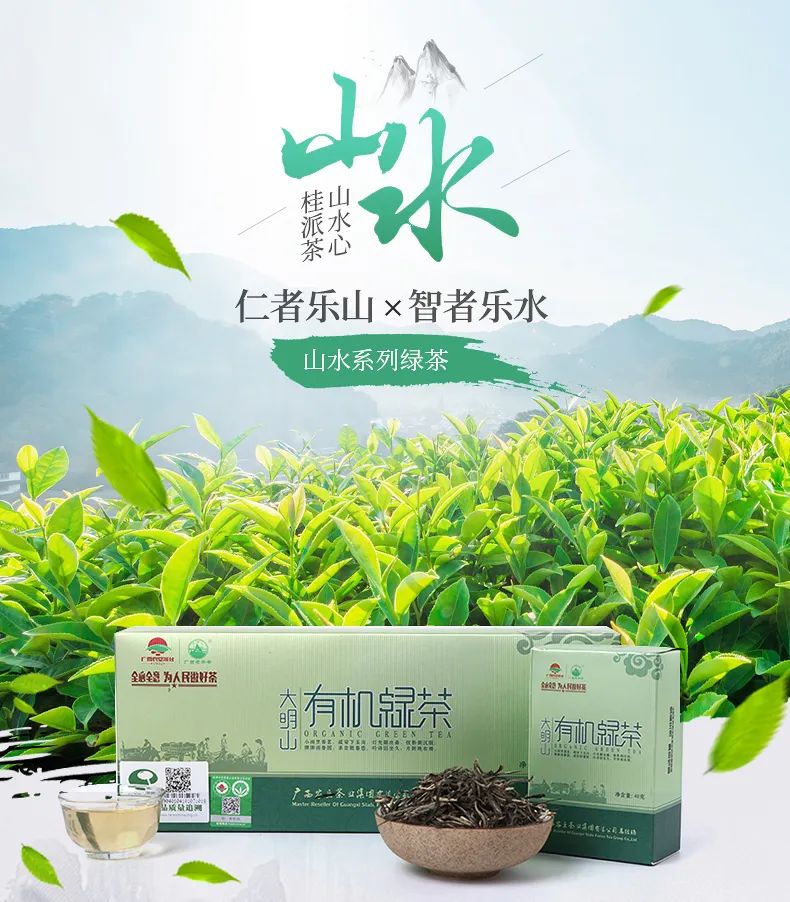 大明山有机绿茶,弱水三千只取一杯茶
