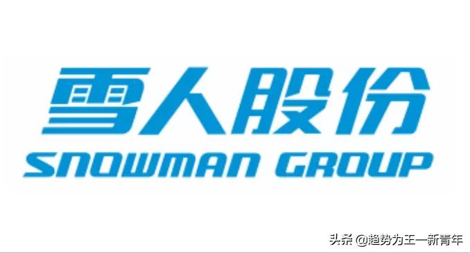 雪人股份在氢能源的地位,雪人股份氢能源汽车