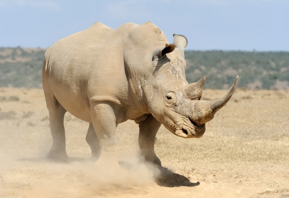 买饰品后被判刑,昆明一女子购买吊坠被判十年