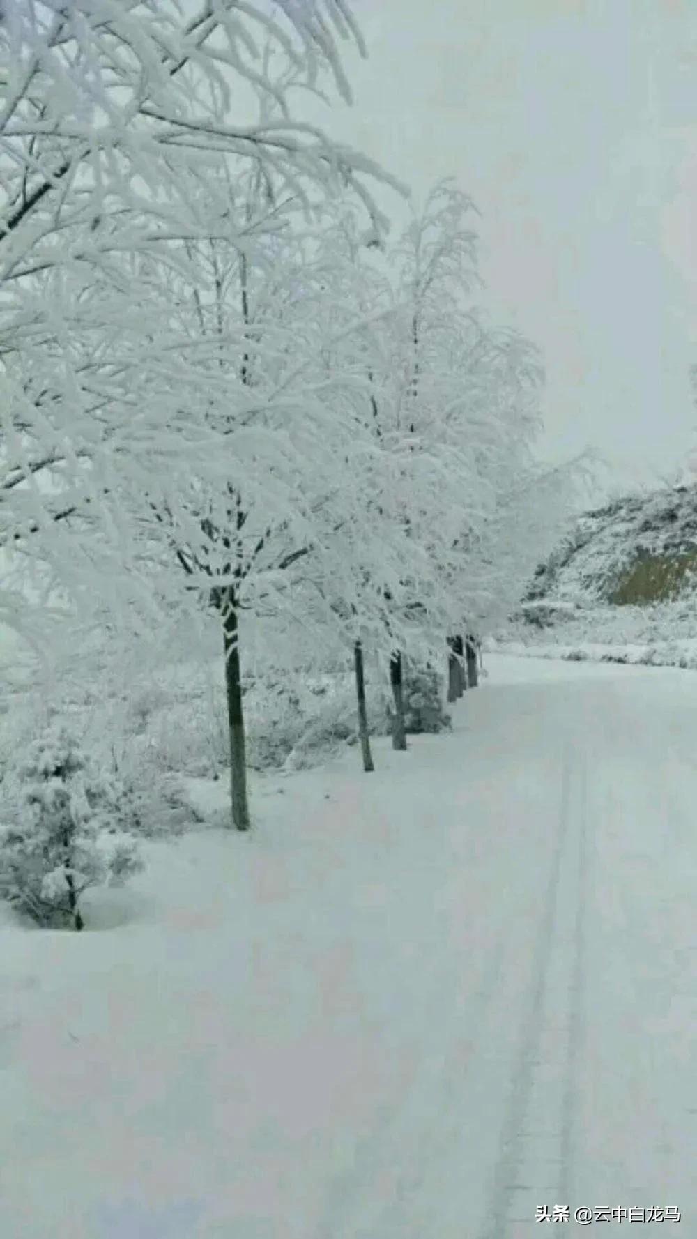 张甫升七律组诗,张甫升七律视频