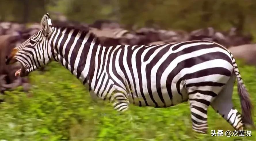 生活冷知识大全1000条,生活中这些冷知识你都知道吗