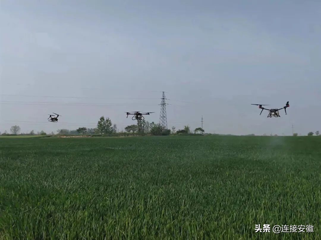 粮食怎么办,怎么解决粮食问题