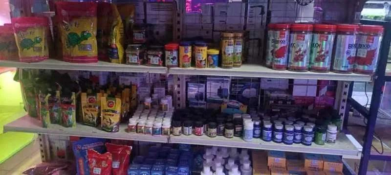 水族店开在哪里比较适合,水族店应该怎么说不会被坑