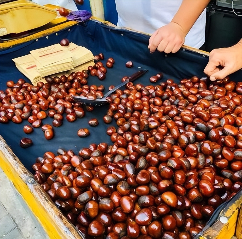 1956年毛主席接见马三立，被马老逗得捧腹大笑：国宝，你是国宝