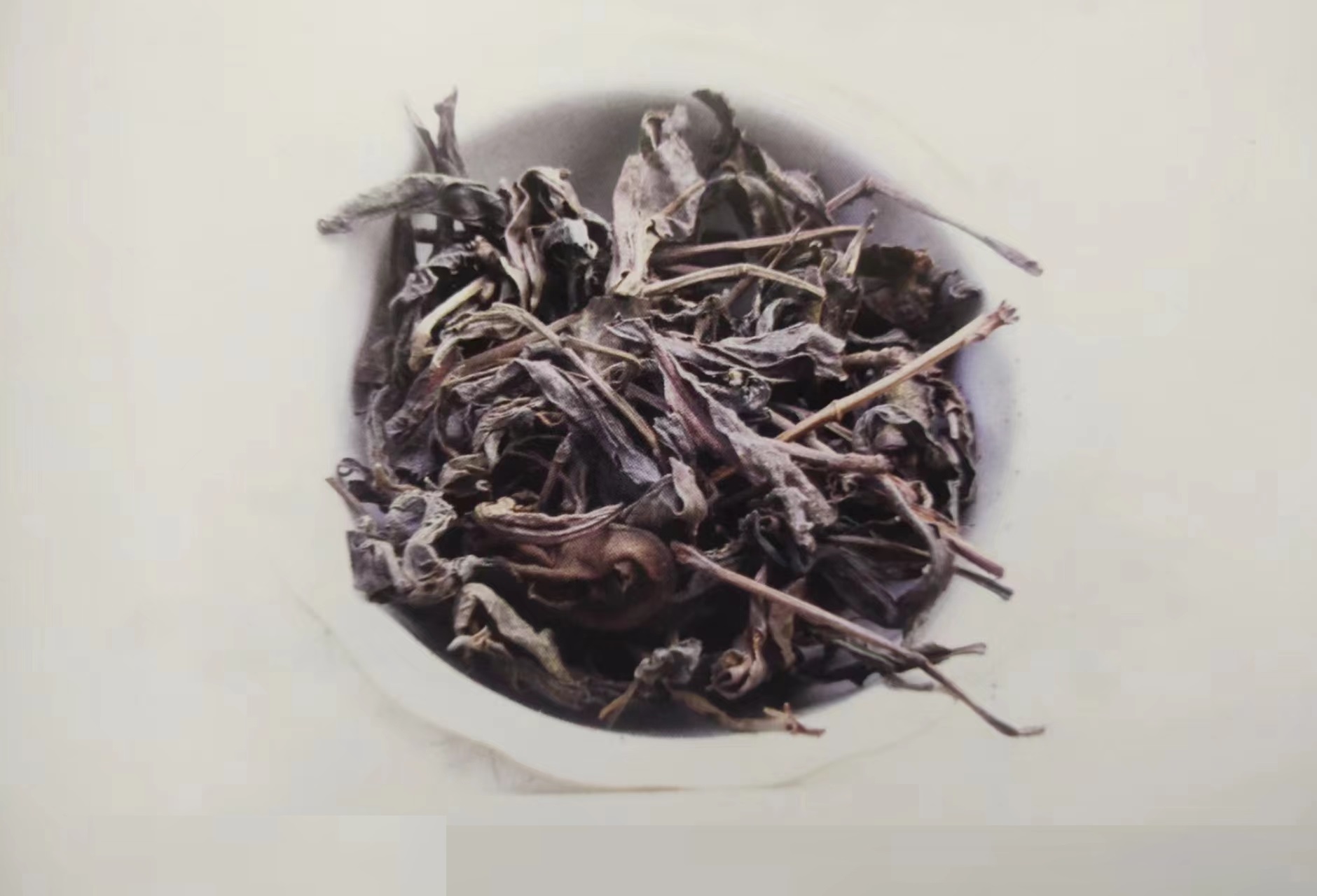 六堡茶大叶好还是小叶好,马来西亚六堡茶冲泡