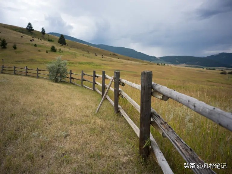 哈苏x2d100c视频,哈苏x2d100c与50c区别