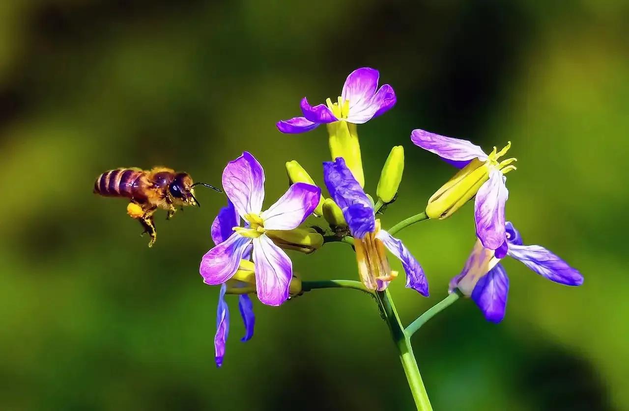 将他人注册商标作为公司名称使用,将他人注册商标组合使用算侵权吗