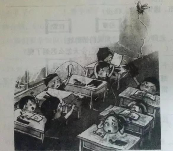 一年级100篇看图写话完整版的图片,一年级看图写话海边捡贝壳100字