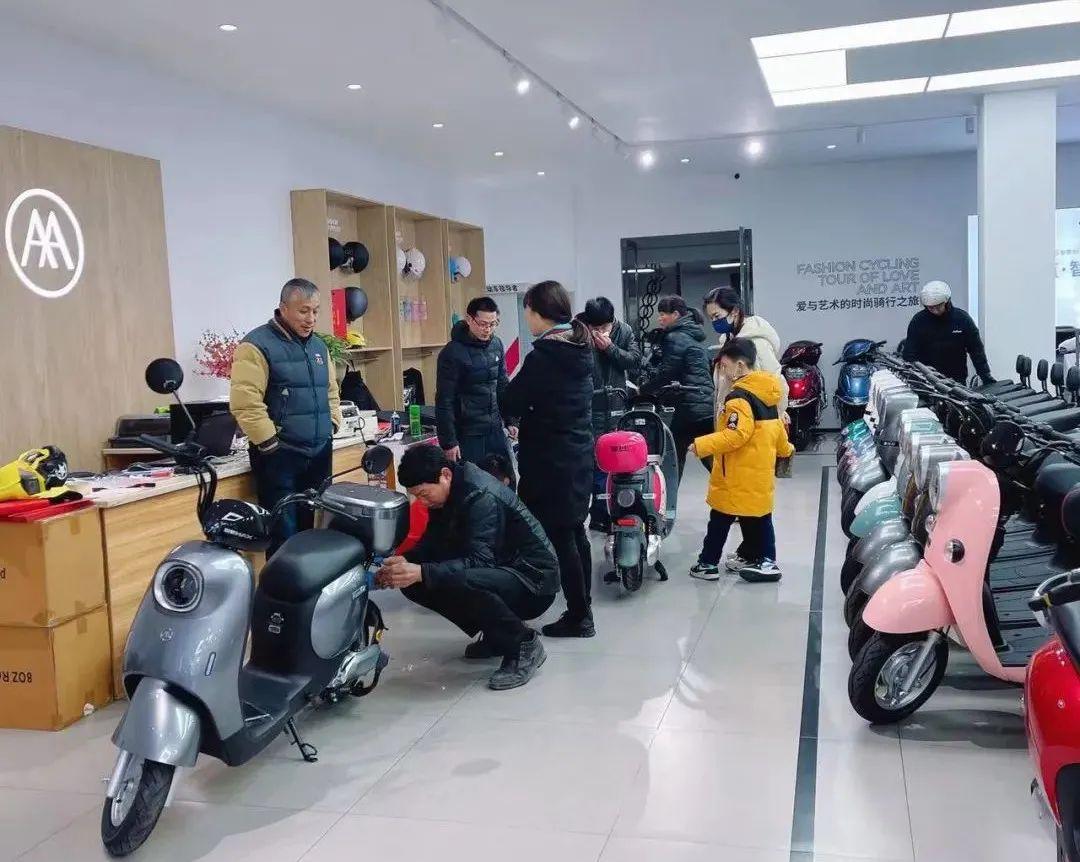 新国标爱玛改款,爱玛高端新国标