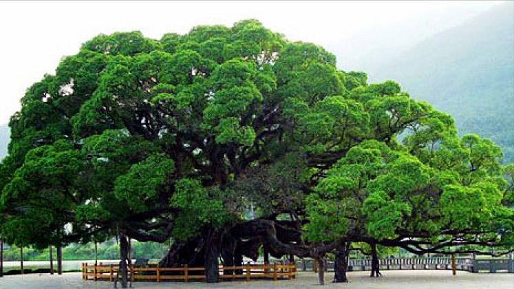 福建省福州市几个区,中国34个省级行政区域教学视频