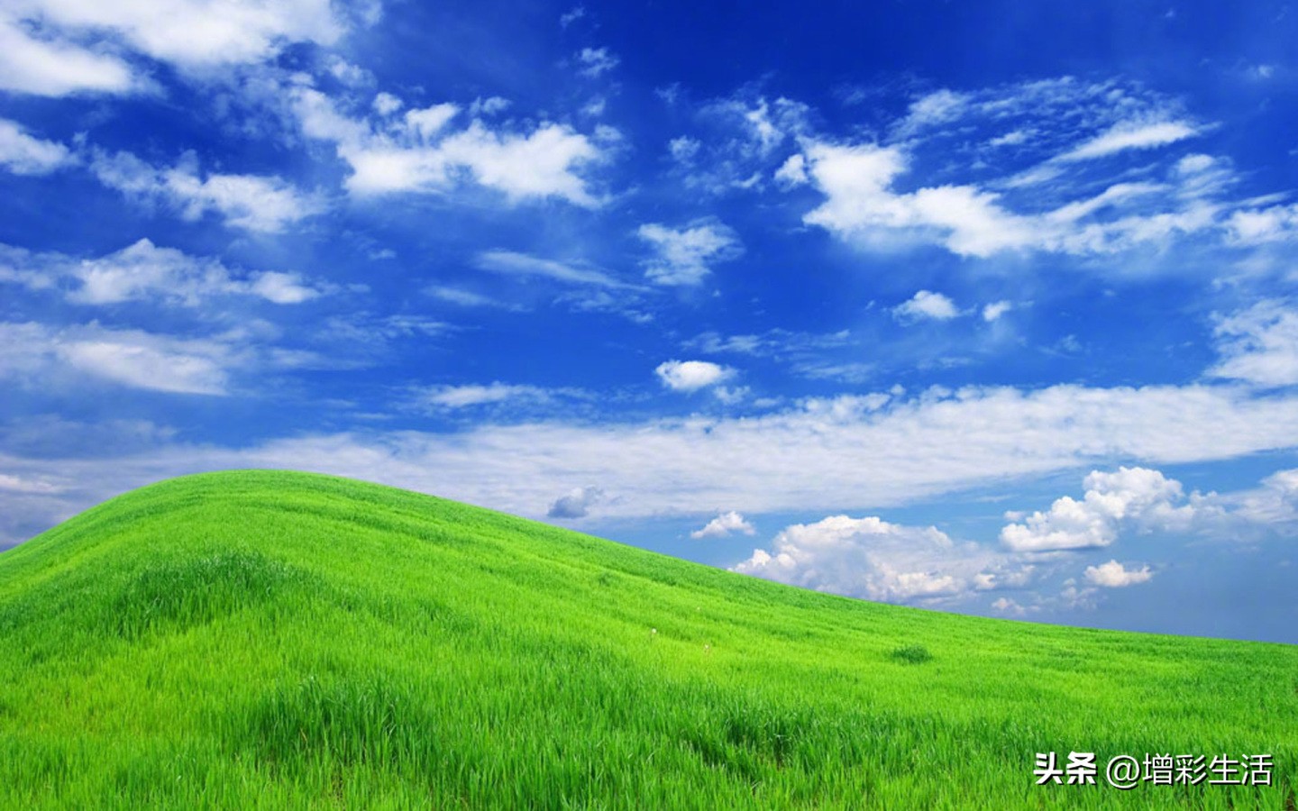 高考地理解答题思路大全,高考地理综合题解题方法和技巧