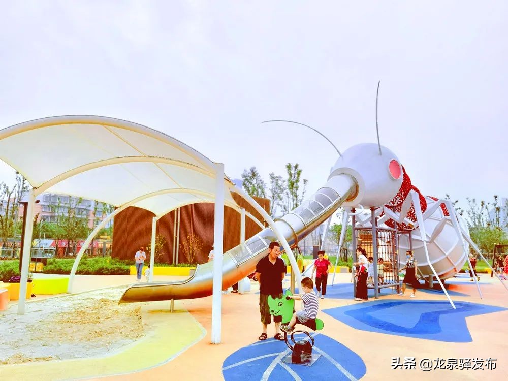 区城管局全力攻坚助力创城,贯彻新发展理念的公园城市示范区