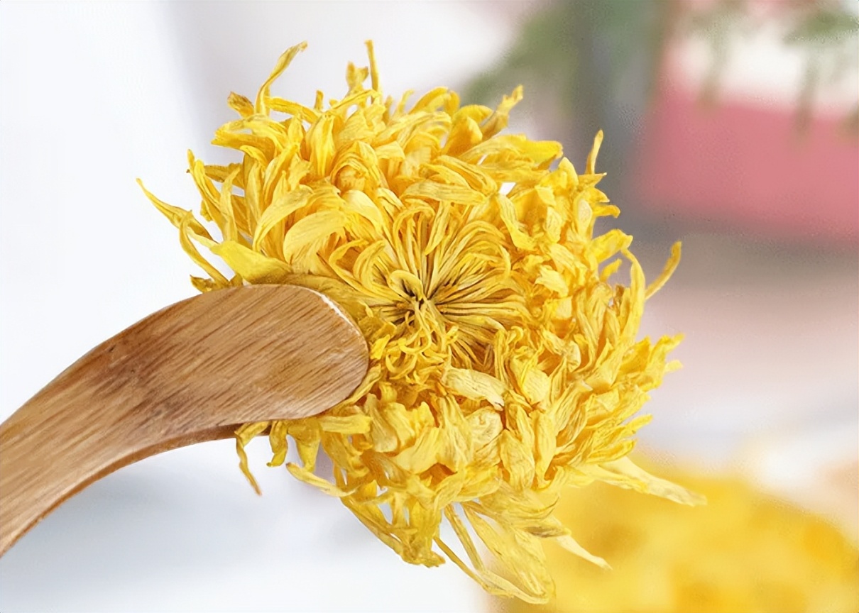 立秋后喝什么茶祛湿气,夏天喝什么茶清热解毒又不伤脾胃