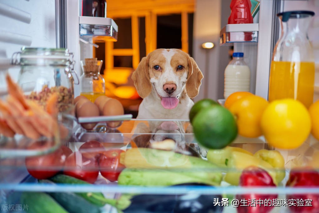 这几款家电一定要买贵的你知道吗,三种家电值不值得购买