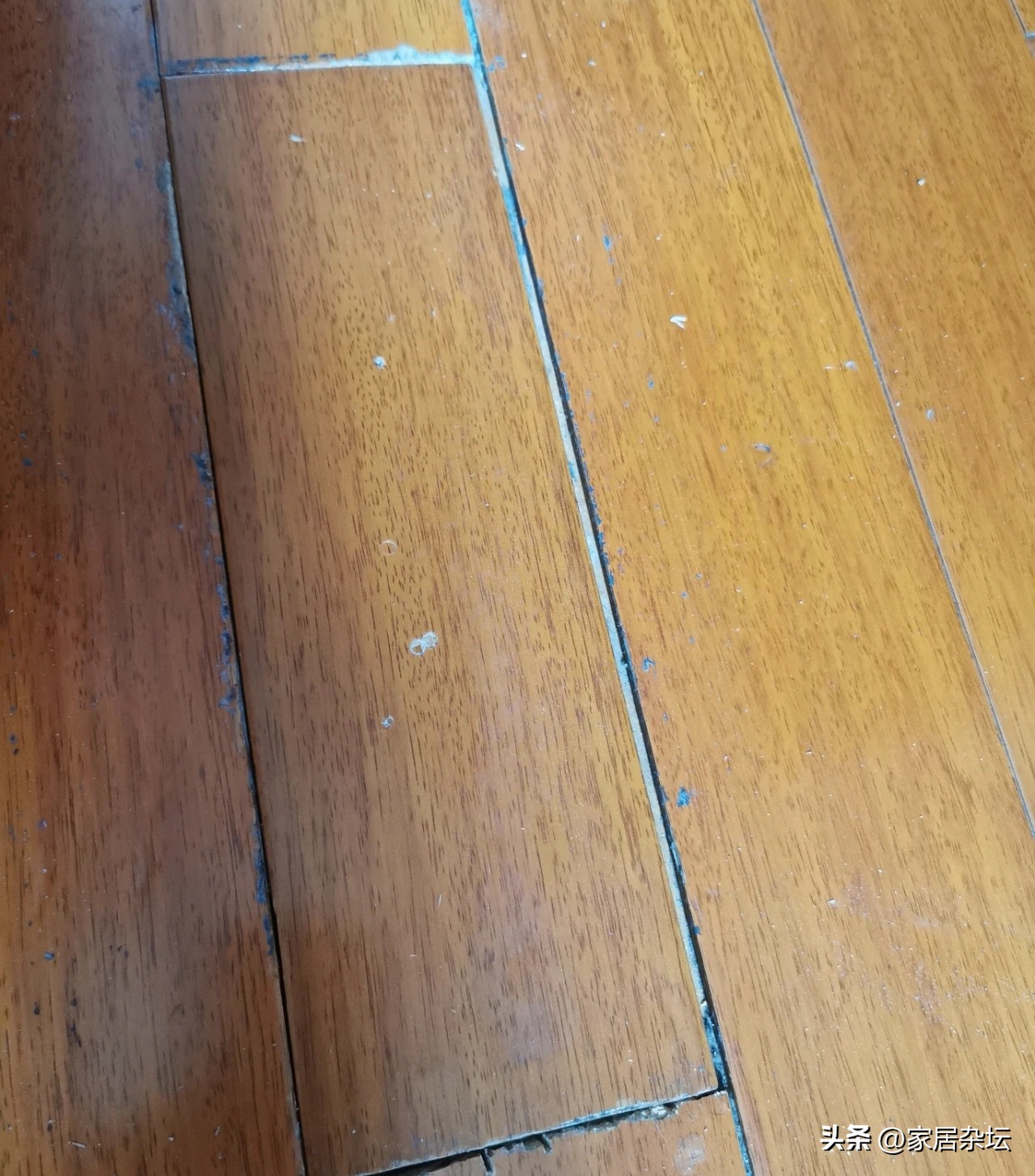 厨房间铺了木地板后悔了,全屋木地板通铺后悔了