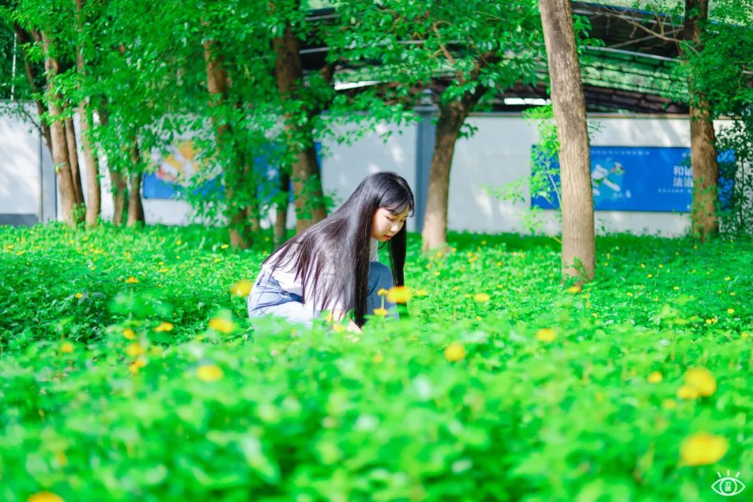 深圳地铁五号线十号线游玩地点,深圳地铁12号线最新最全线路图