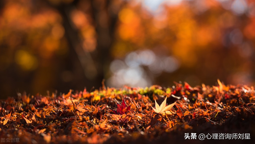 心理学家要怎么操作,心理学帮助睡眠