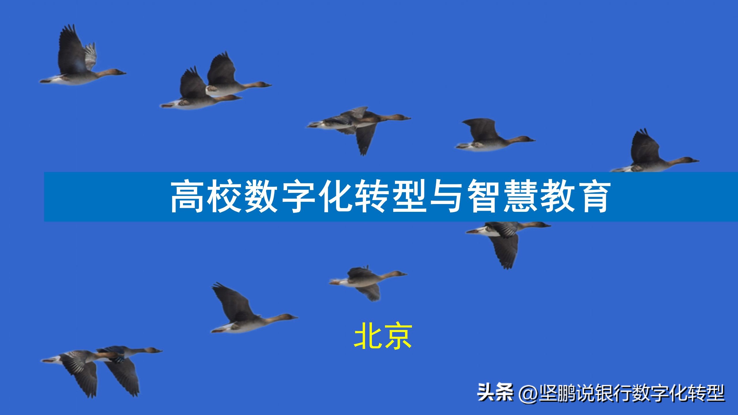 数字化转型导师坚鹏：高校数字化转型与智慧教育培训圆满结束