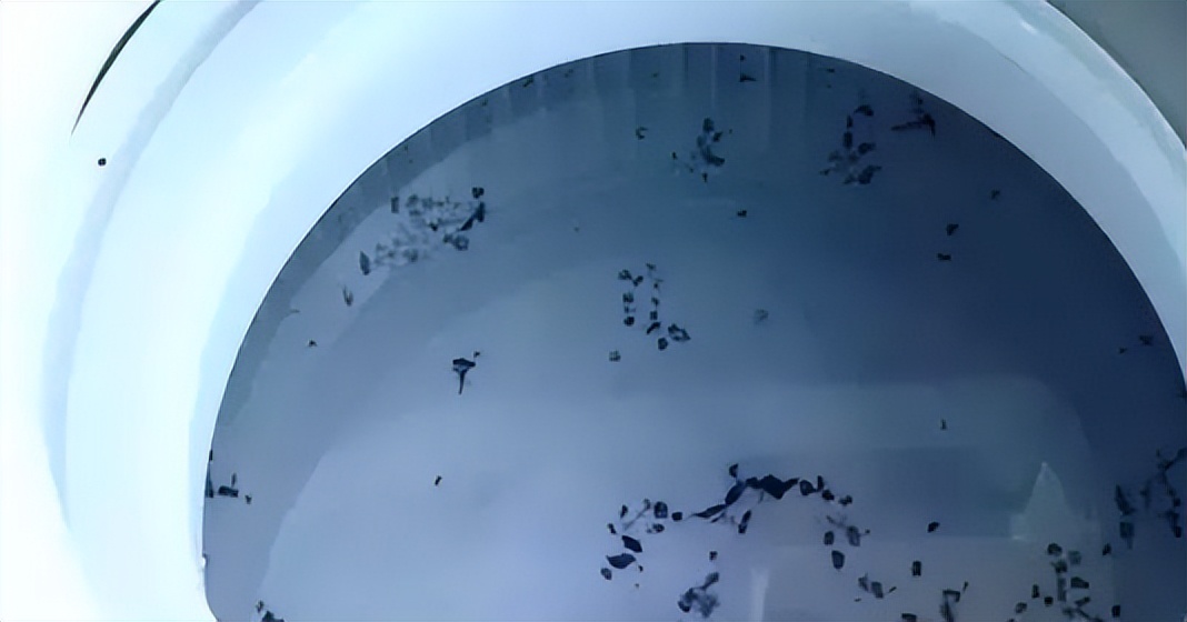 衣服洗完了怎么弄干,衣服清洗妙招家政