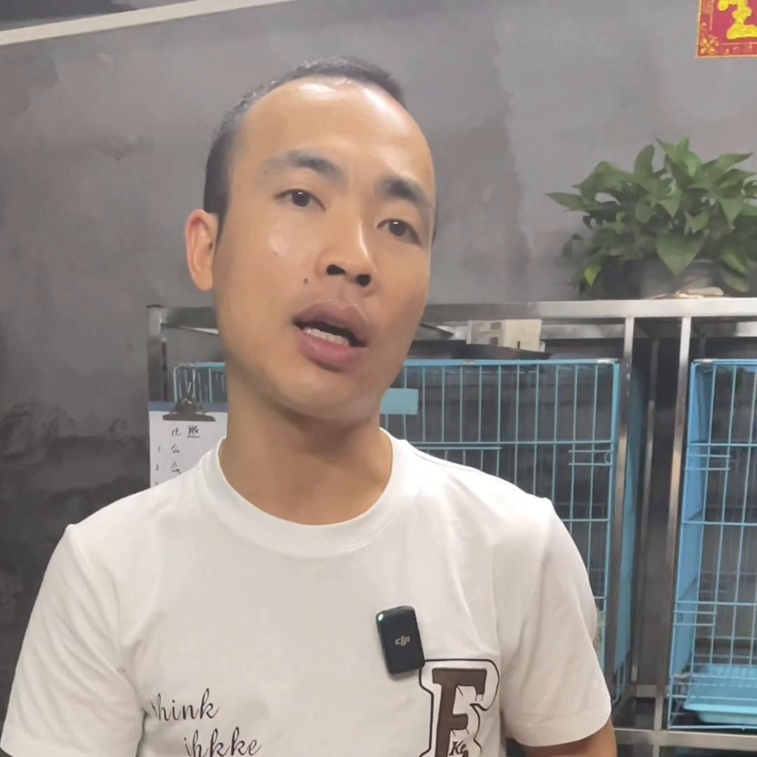 在网上买狗被骗的都有哪些,网上买狗怎样才知道没被骗