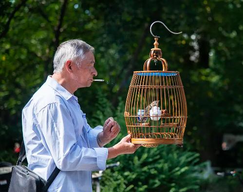 中医对甲状腺肿瘤的治疗方法,甲状腺肿瘤中医辨证论治