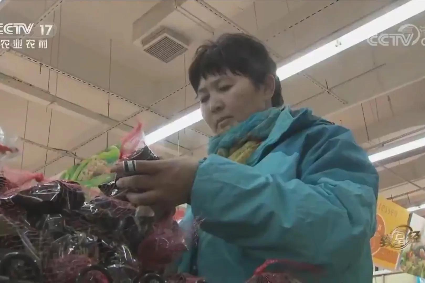 承包荒山致富的例子,美女承包52亩山地