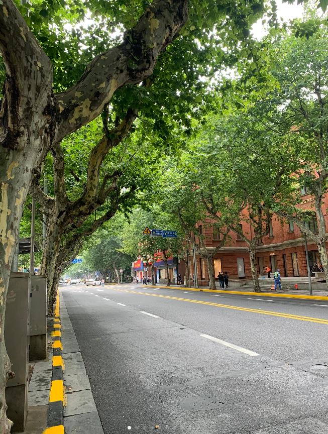 去完上海旅游后的感受,独自一人去上海旅游的感受