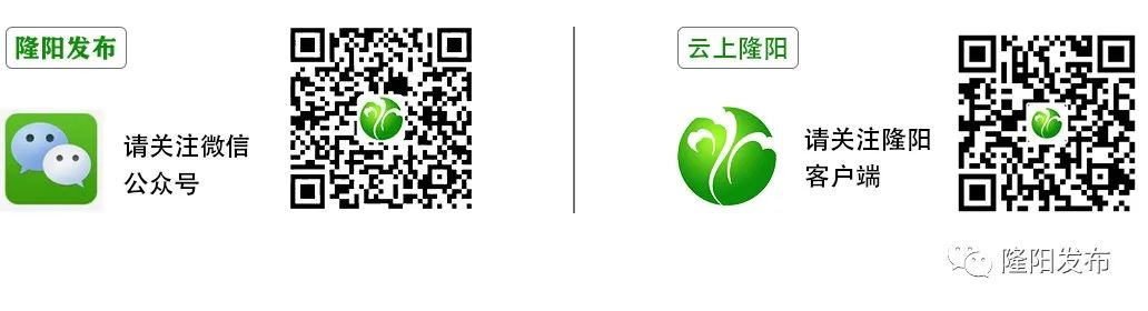 提升教育质量打造教育强镇,乡镇教育高质量发展实施方案