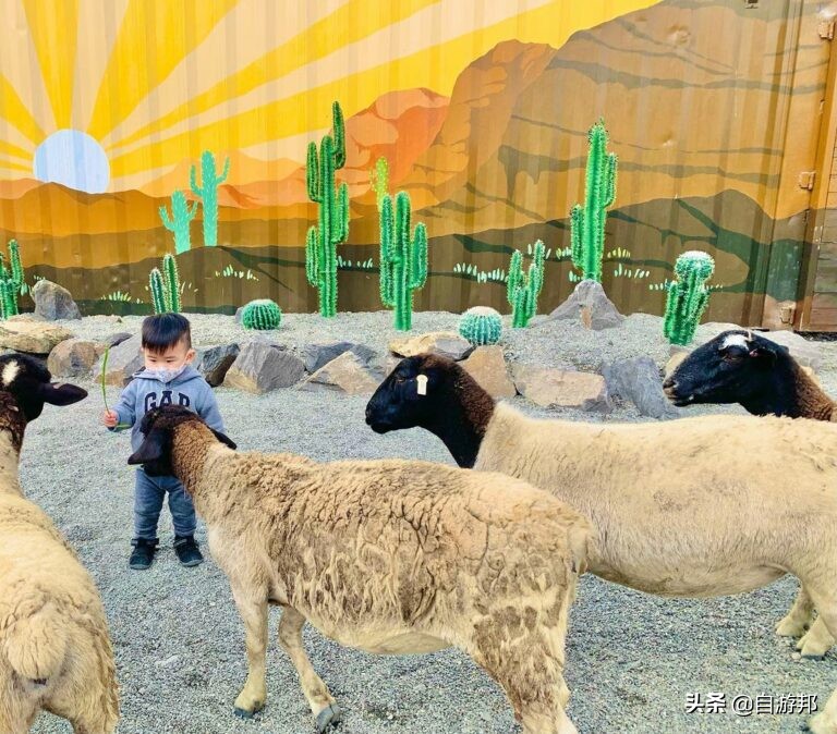 宜兰旅游攻略景点推荐理由,宜兰县一日游攻略