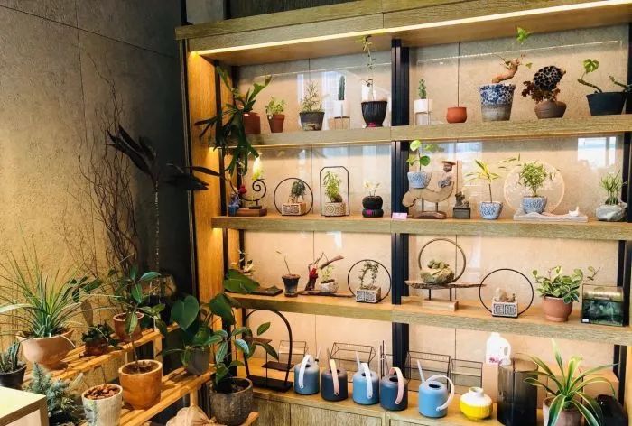 西安情人节约会好去处冬天,西安情人节餐厅推荐