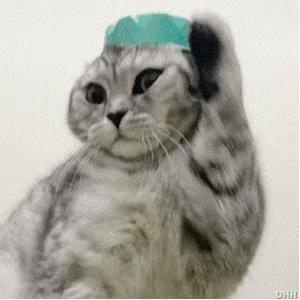 自从买了这个手机壳，我就经常找不到手机了