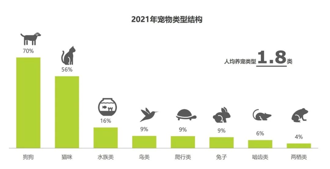 月薪3万的狗,狗德培训班到底值不值