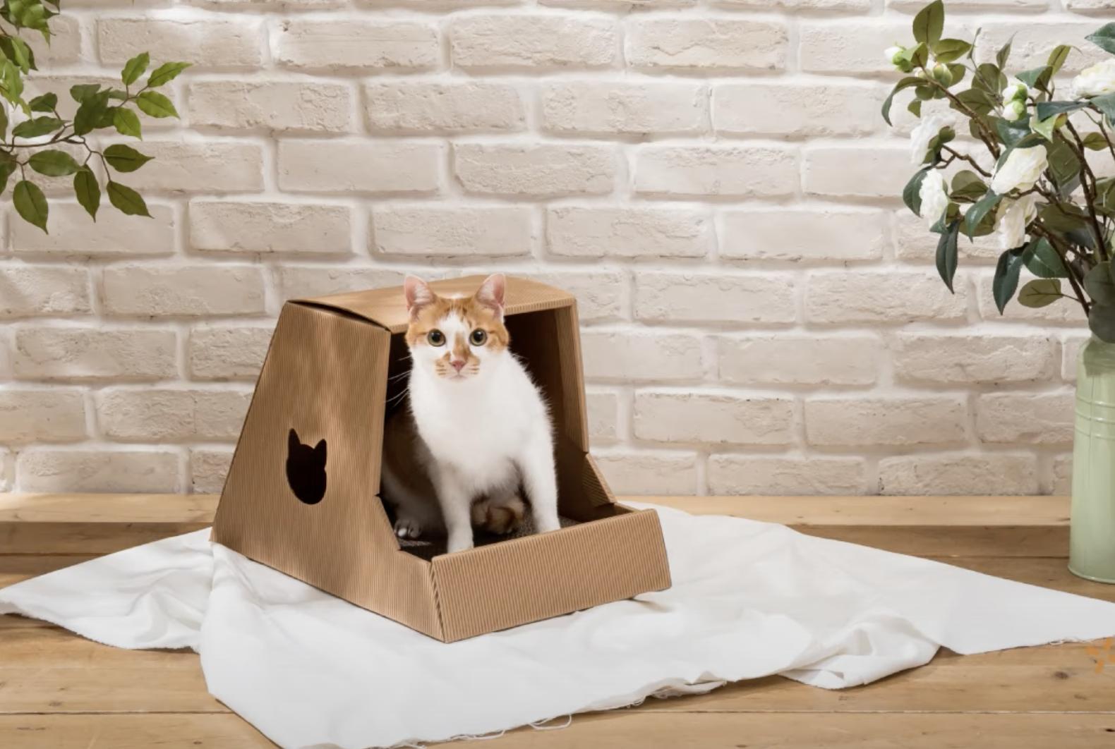 iphone相机拍照技巧光圈,iphone相机拍照模糊技巧