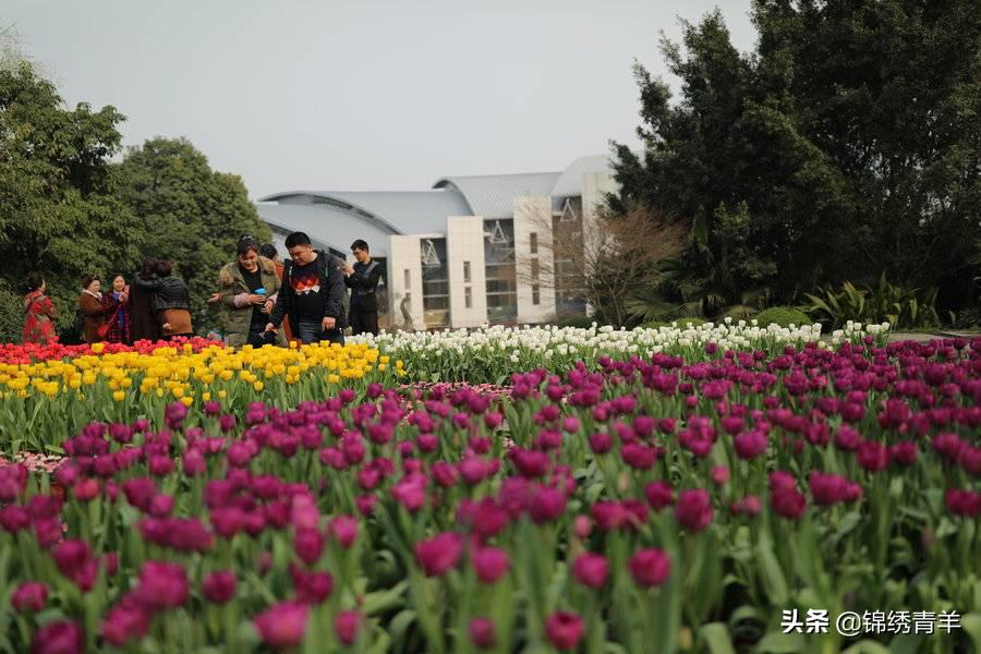 青羊区最美公园景点在哪里,5月份成都市区最美公园