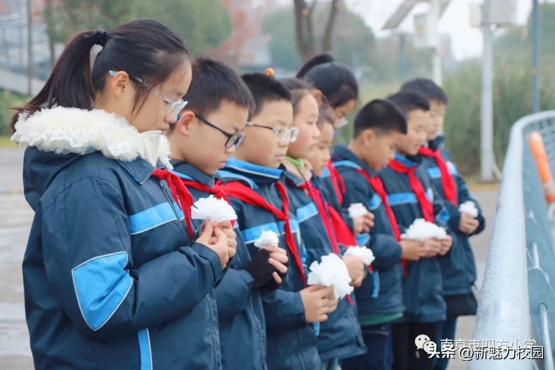 红领巾假日小分队,南京雏鹰假日小队队旗