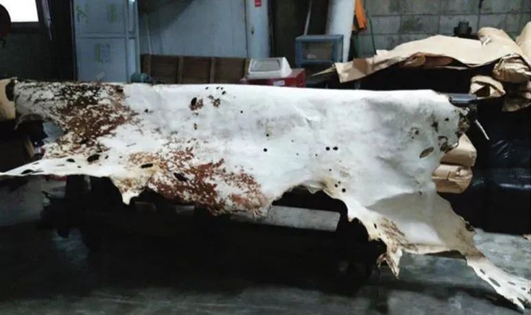 将鲜花封存,变成华服,玩转自然材料的日本设计师