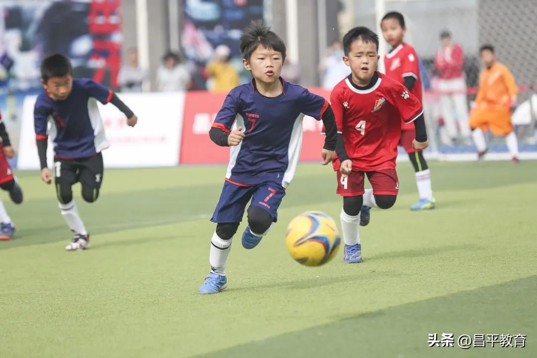 赋能于师丨城区学区在行动!