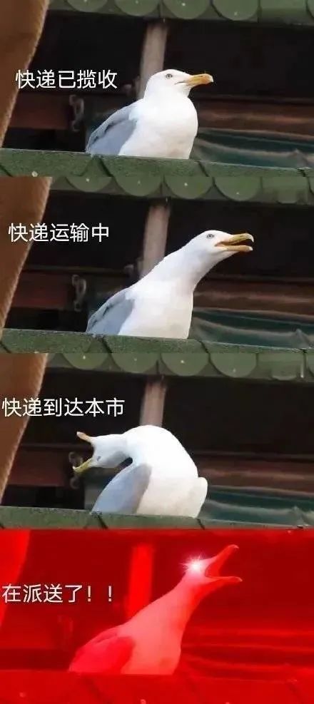 唯快不破合集,唯快不破空手接子弹