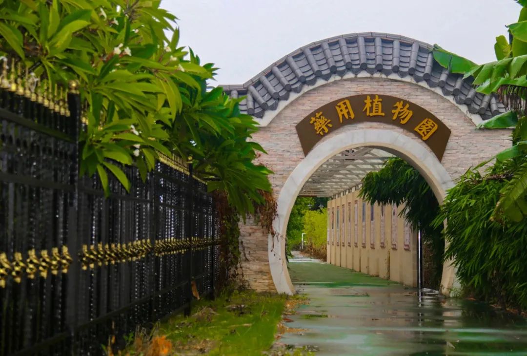 广东超本科线的大专院校排名,广东大专院校排名及分数线