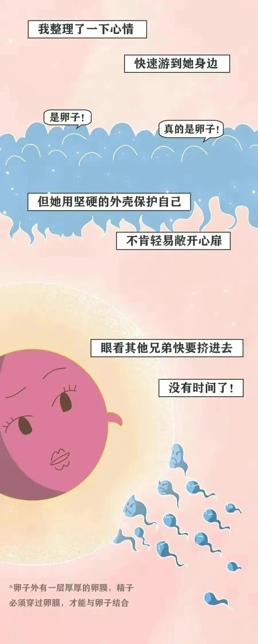 精子进入女生体内的全过程，真是一路坎坷又艰难